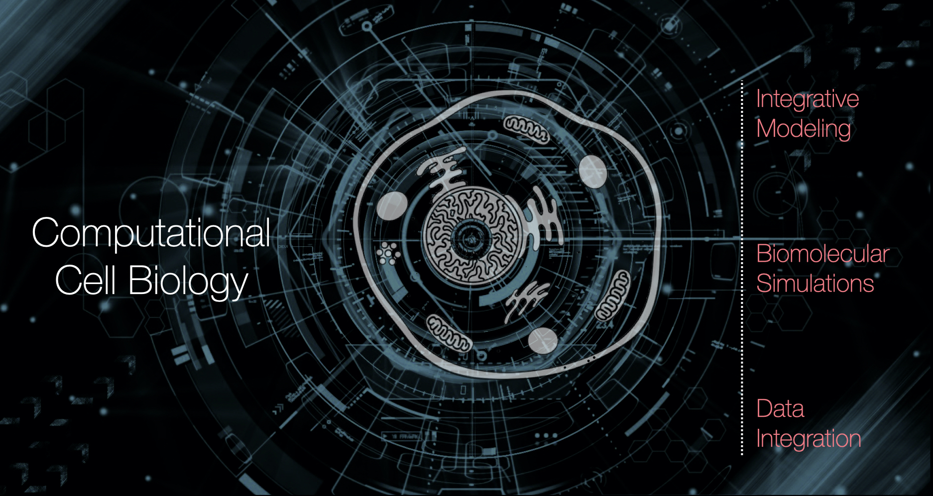 Professional Certification in Computational Biology