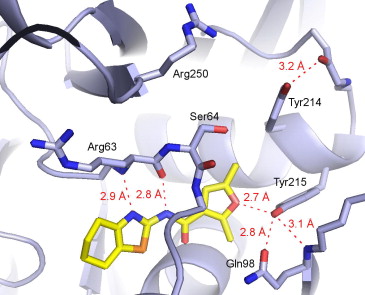 Certificate Course in Computational Drug Designing