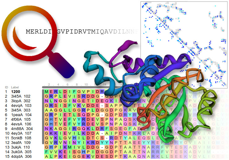 Professional Certification in Protein Modelling & Rational Drug Designing