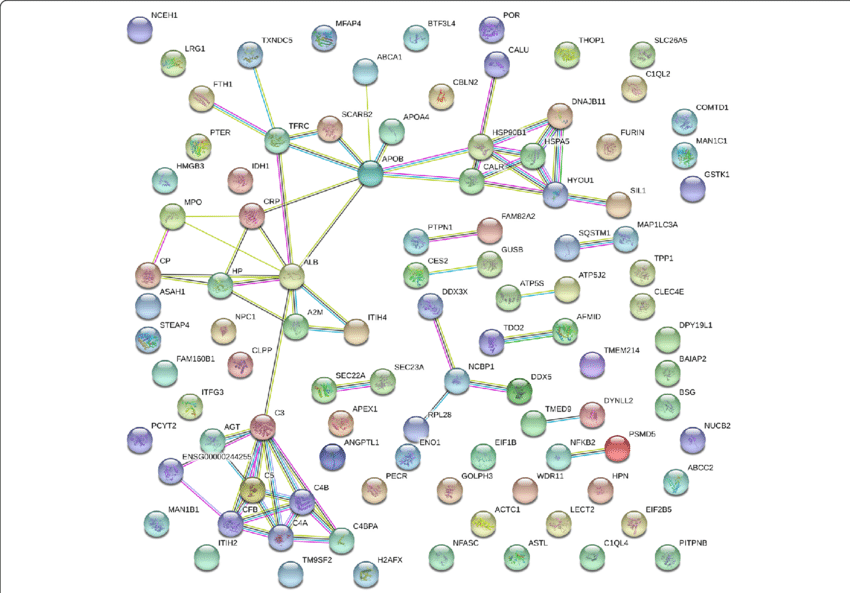 Hit-to-Lead Optimization