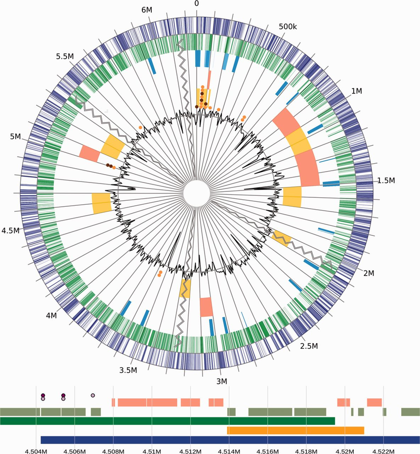 Sequence Analysis