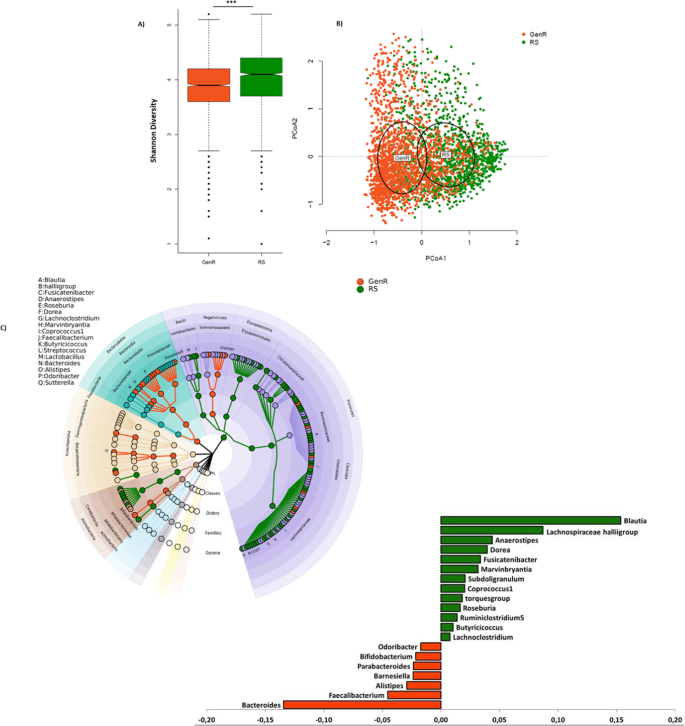 Hit-to-Lead Optimization