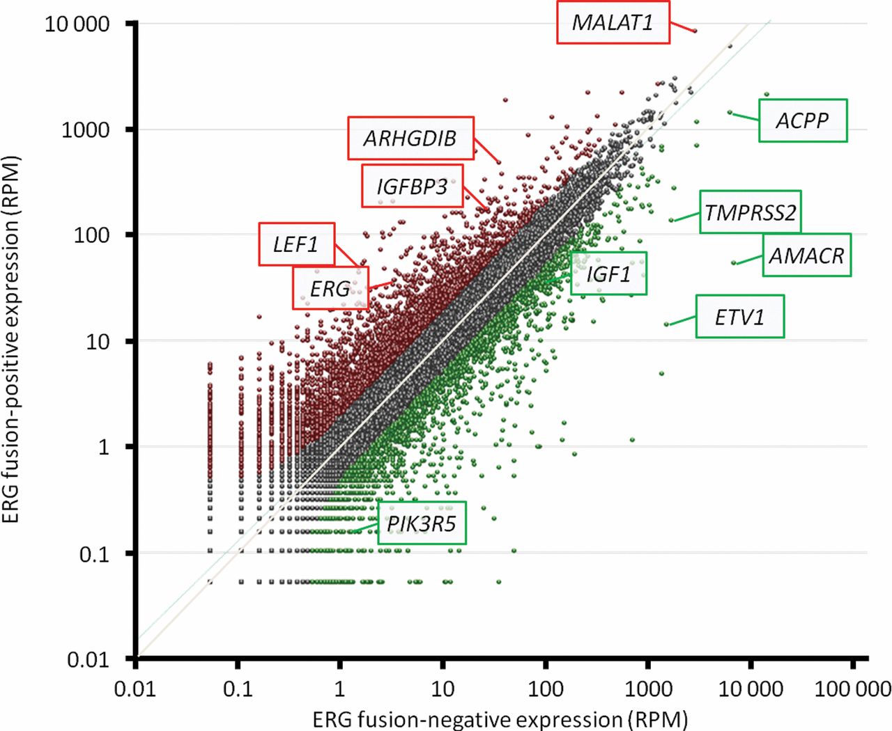 Pharmacophore Modeling
