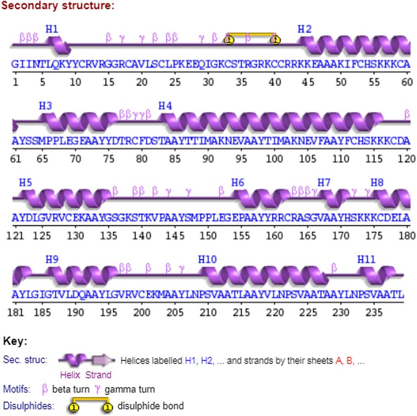 Protein Analysis
