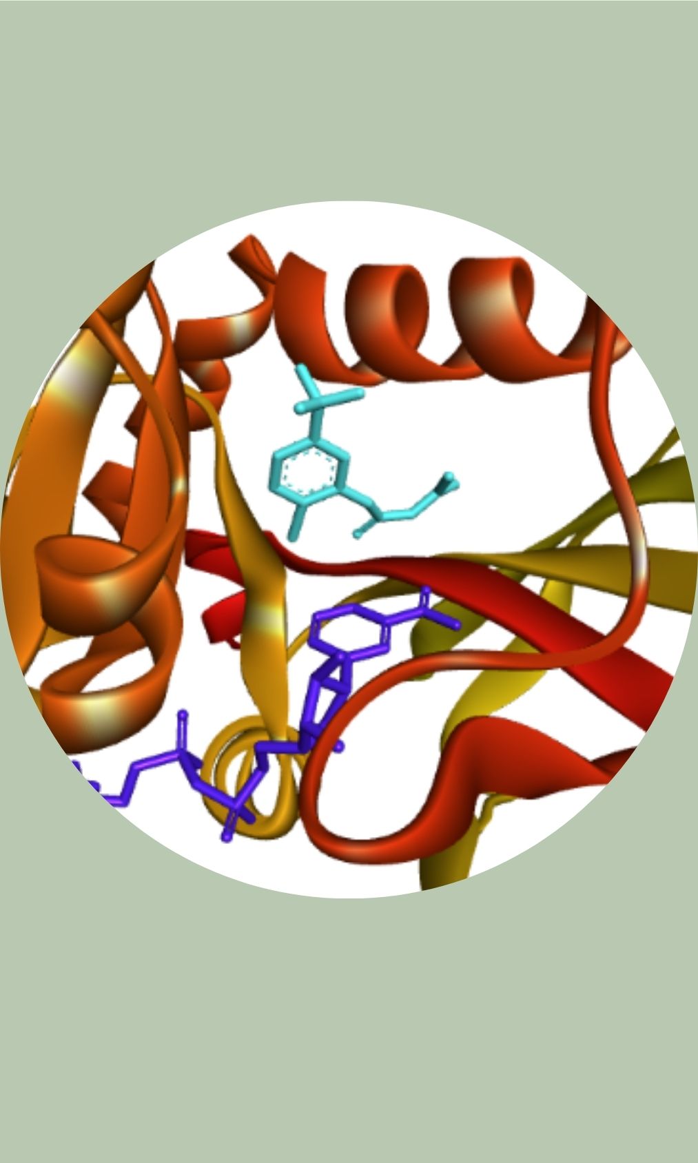 Molecular Docking and Analysis
