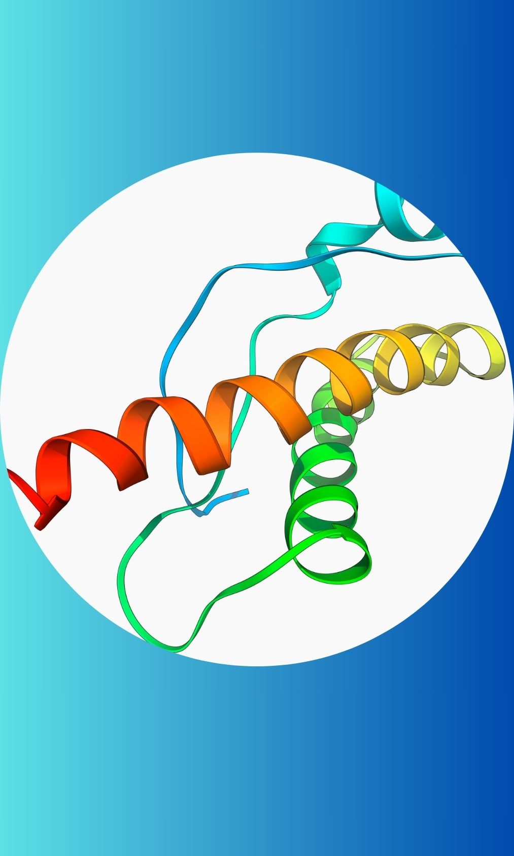 Protein Modeling and Visualization