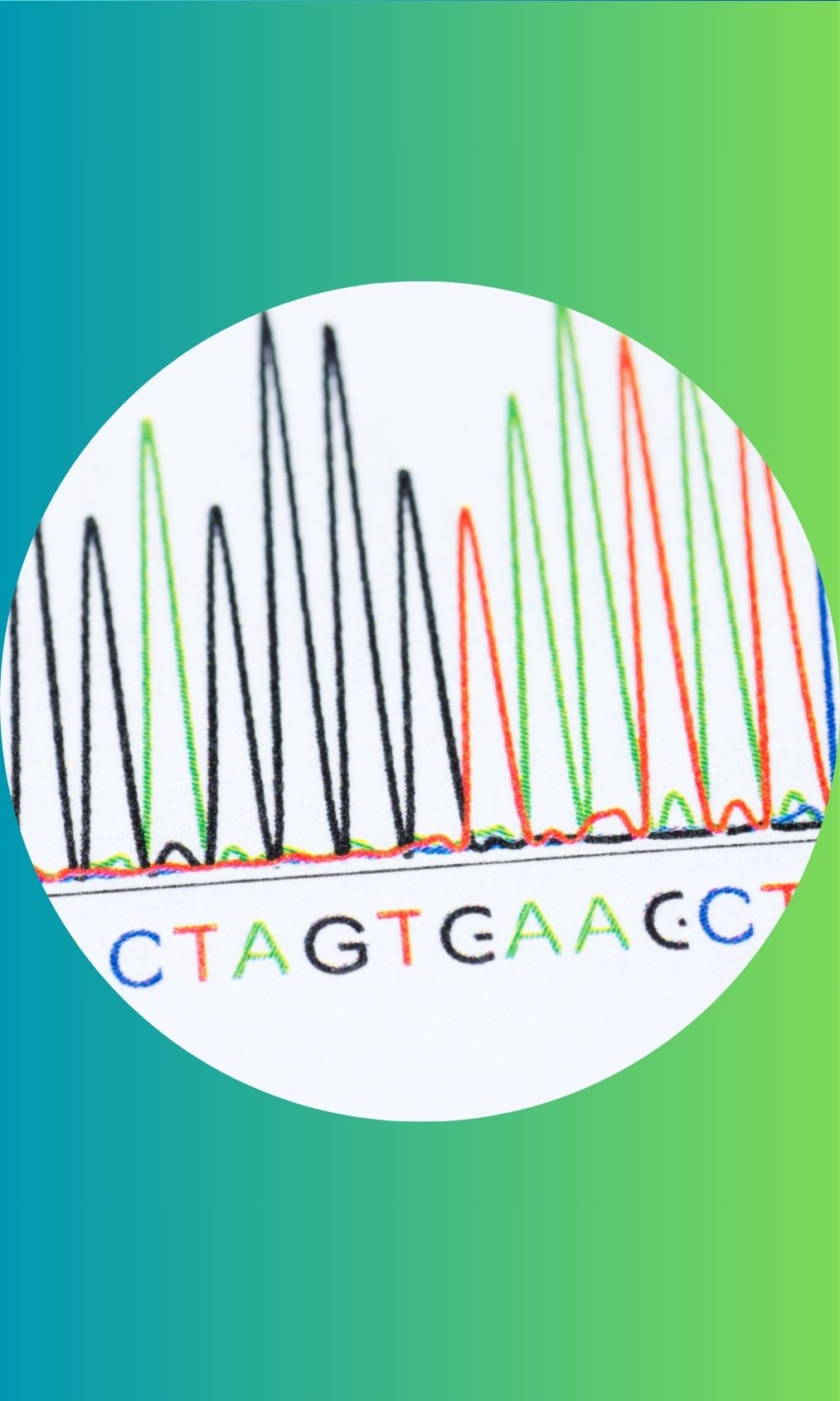 16S rRNA Sequence Analysis for Microbial Identification
