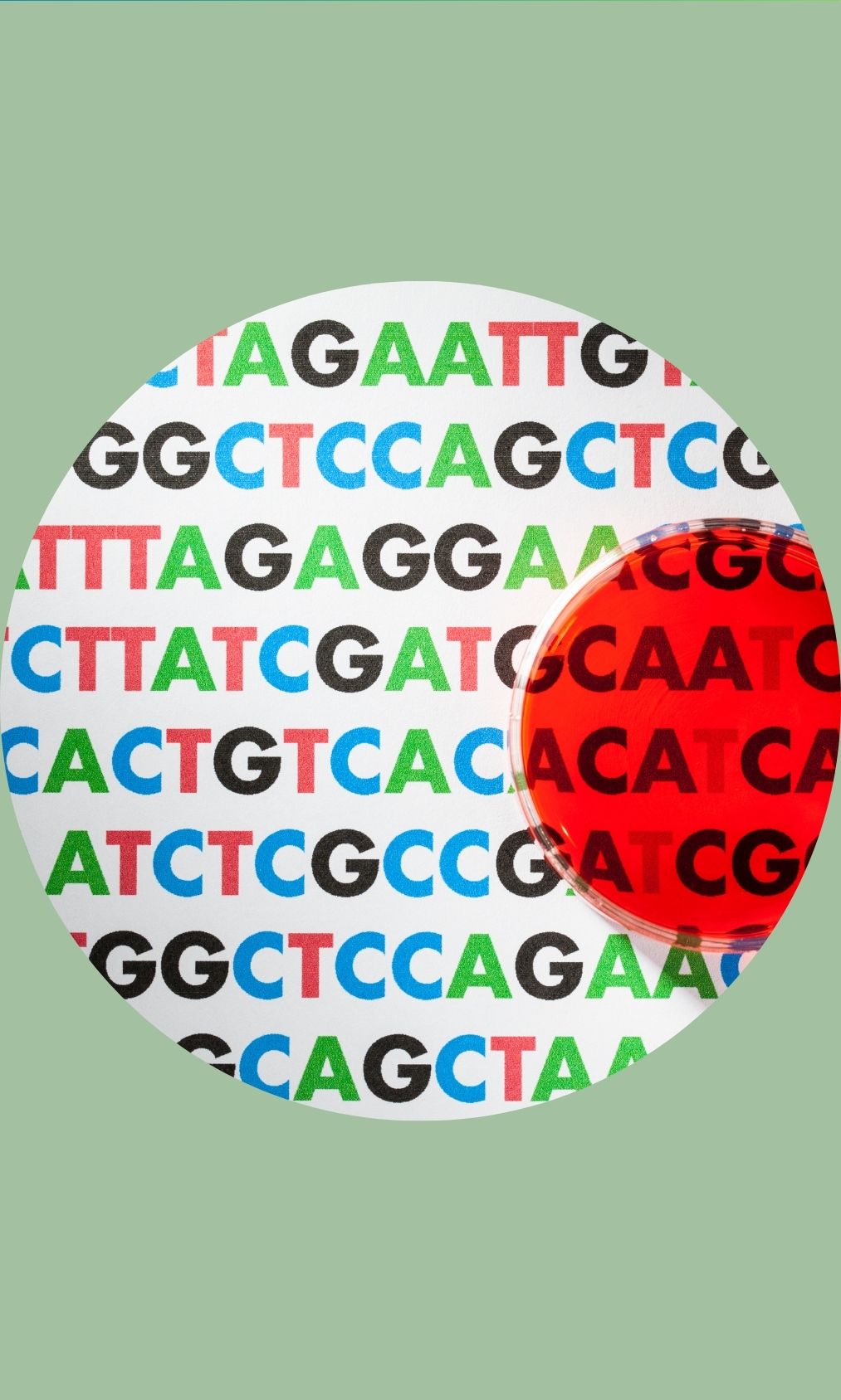 DNA & Protein Sequence Analysis
