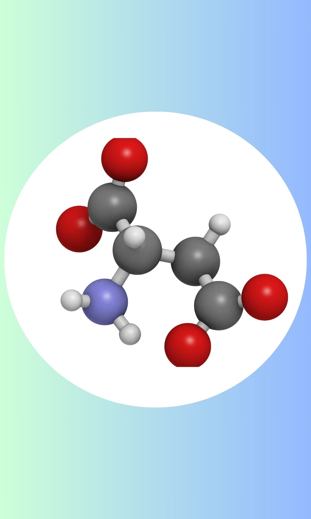 Computer-Aided Drug Designing (CADD)