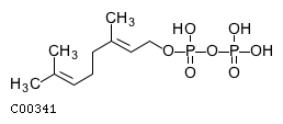 GIF of Geranyl diphosphate