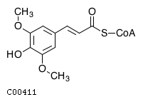 GIF of Sinapoyl-CoA