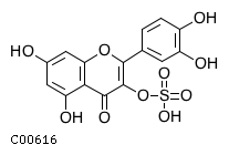 GIF of Quercetin 3-sulfate
