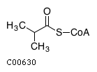 GIF of 2-Methylpropanoyl-CoA;