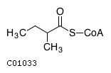 GIF of 2-Methylbutanoyl-CoA;