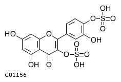 GIF of Quercetin 3,4'-bissulfate