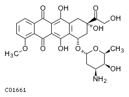 GIF of Doxorubicin;