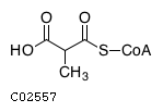 GIF of Methylmalonyl-CoA;