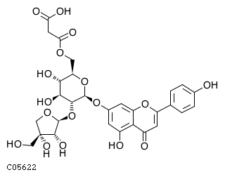 GIF of Malonylapiin;