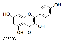 GIF of Kaempferol;