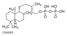 GIF of ent-Copalyl diphosphate;