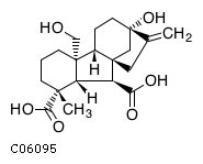 GIF of Gibberellin A44 diacid;