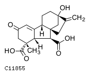 GIF of Gibberellin A29-catabolite