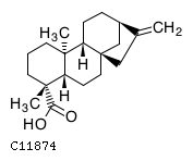 GIF of Kaur-16-en-18-oic acid;