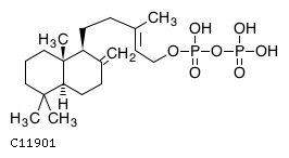GIF of Copalyl diphosphate;