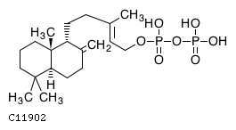 GIF of 9alpha-Copalyl diphosphate;