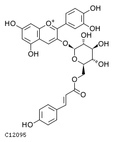 GIF of Cyanidin 3-O-(6-O-p-coumaroyl)glucoside