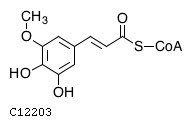 GIF of 5-Hydroxyferuloyl-CoA