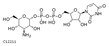 GIF of UDP-kanosamine;