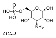GIF of Kanosamine 6-phosphate;