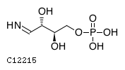 GIF of Iminoerythrose 4-phosphate;