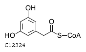 GIF of 3,5-Dihydroxyphenylacetyl-CoA