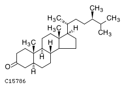 GIF of 5alpha-Campestan-3-one;