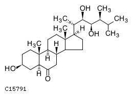 GIF of Teasterone;