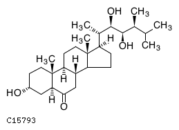 GIF of Typhasterol;