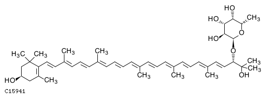 GIF of (3R,2'S)-Myxol 2'-alpha-L-fucoside