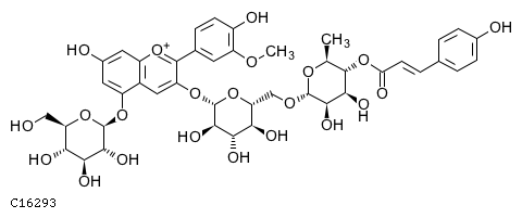 GIF of Peonidin-3-(p-coumaroyl)-rutinoside-5-glucoside