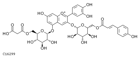 GIF of Malonylshisonin