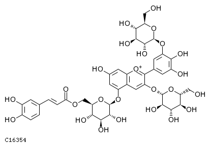 GIF of Albireodelphin;