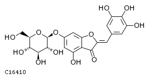 GIF of Bracteatin 6-O-glucoside;