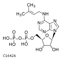 GIF of Isopentenyladenosine-5'-diphosphate;