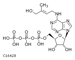GIF of trans-Zeatin riboside triphosphate