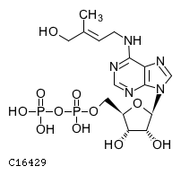 GIF of trans-Zeatin riboside diphosphate