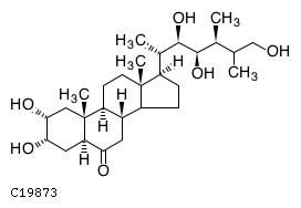 GIF of 26-Hydroxycastasterone