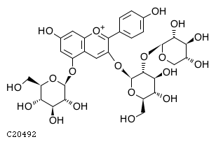 GIF of Pelargonidin 5-O-beta-D-glucoside 3-O-beta-D-sambubioside