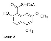 GIF of 2-Hydroxy-7-methoxy-5-methyl-1-naphthoyl-CoA