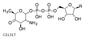 GIF of NDP-2-amino-4-oxo-2,6-dideoxy-D-galactose
